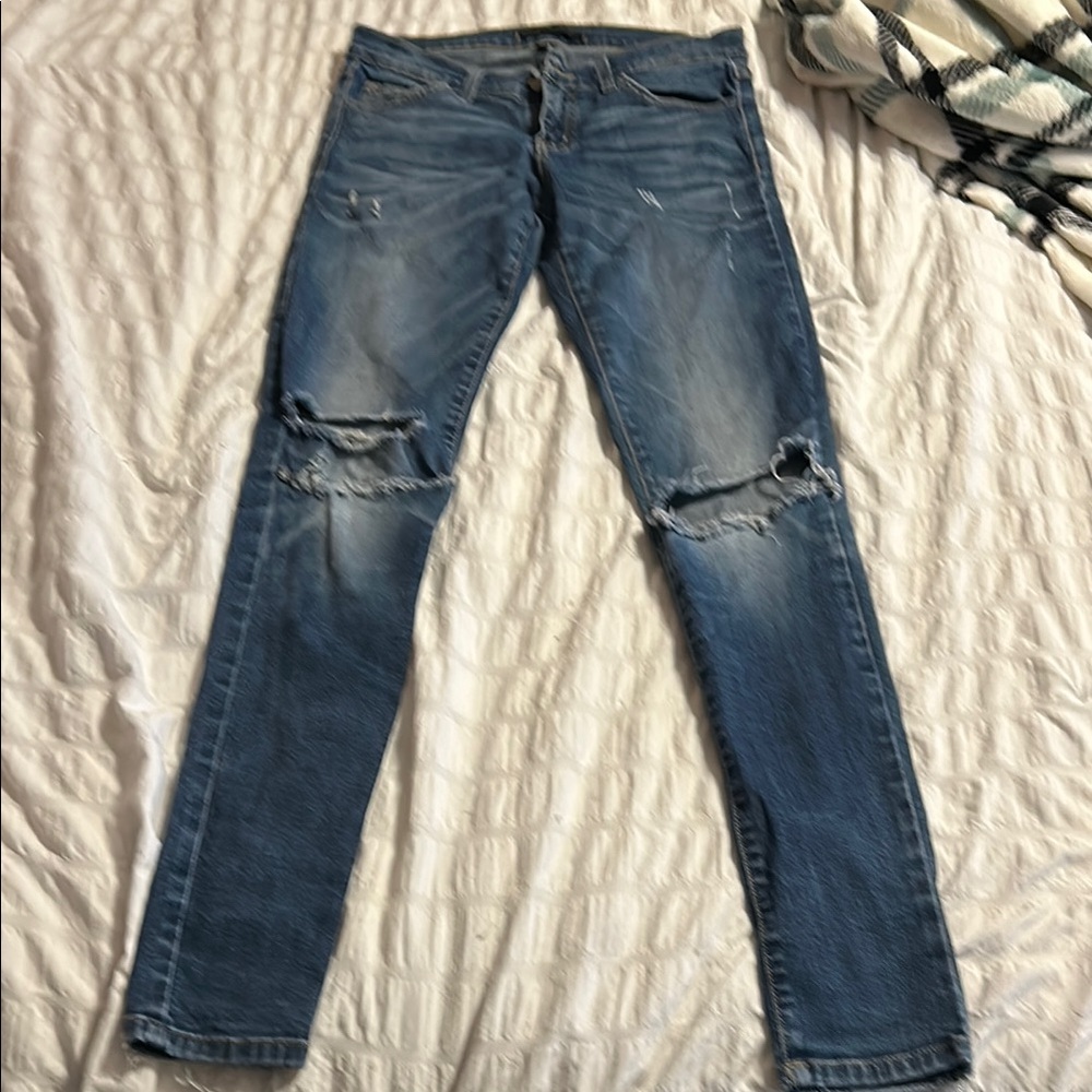 Flying Monkey - image 5